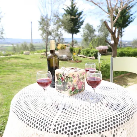 Bujtina Ethan Perondi Κουτσόβα