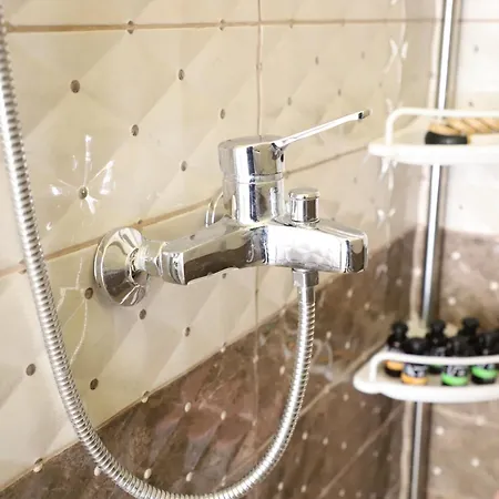 Bujtina Ethan Perondi *