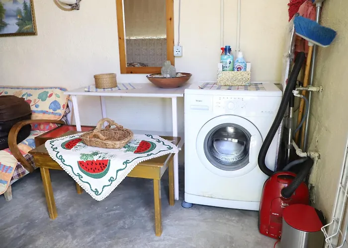 Bujtina Ethan Perondi *