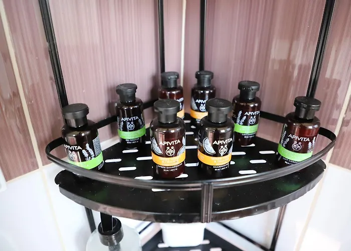 Bujtina Ethan Perondi *