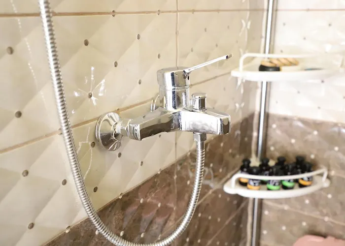 Bujtina Ethan Perondi *